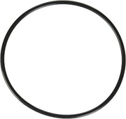 EVERPURE-EV3071-19 4 inch Water Filter O-Ring