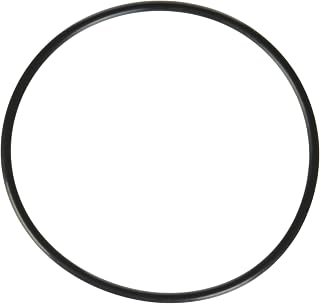 EVERPURE-EV3071-19 4 inch Water Filter O-Ring