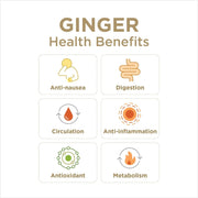 The Ginger People Crystallized-Ginger / 3.5oz (Pack of 1) / Crystallized Ginger Ginger Candy