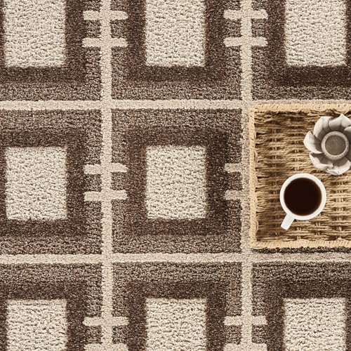 Abani 4' x 6' / Brown / Modern Area Rugs