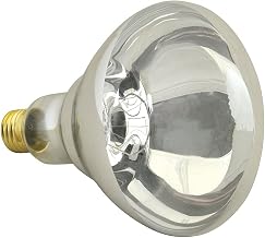FMP Clear Glass 250 Watt Uncoated Food Warming Bulb