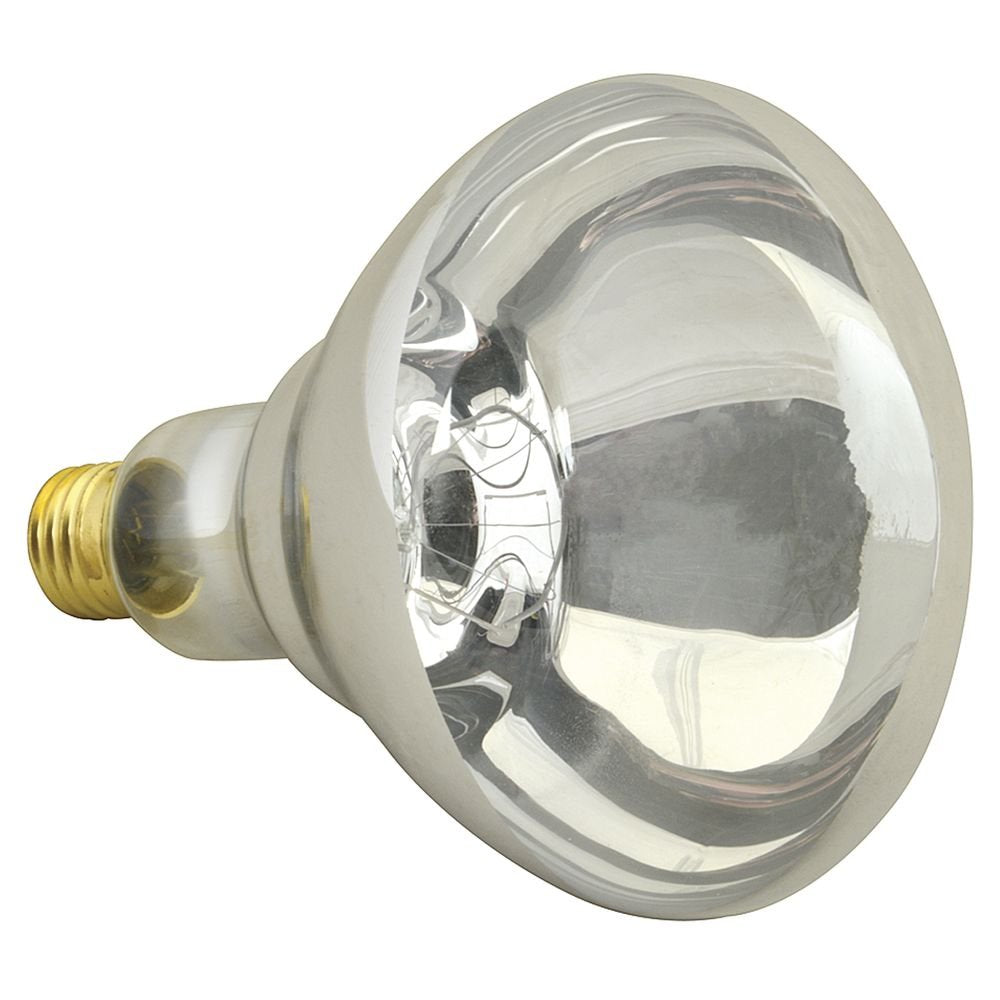 FMP Clear Glass 250 Watt Uncoated Food Warming Bulb by FRANKLIN MACHINE PRODUCTS (FMP) – Glass, Clear, Model 253-1121