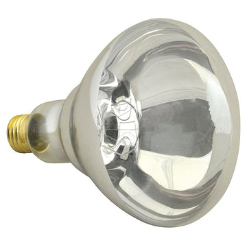 FMP Clear Glass 250 Watt Uncoated Food Warming Bulb by FRANKLIN MACHINE PRODUCTS (FMP) – Glass, Clear, Model 253-1121