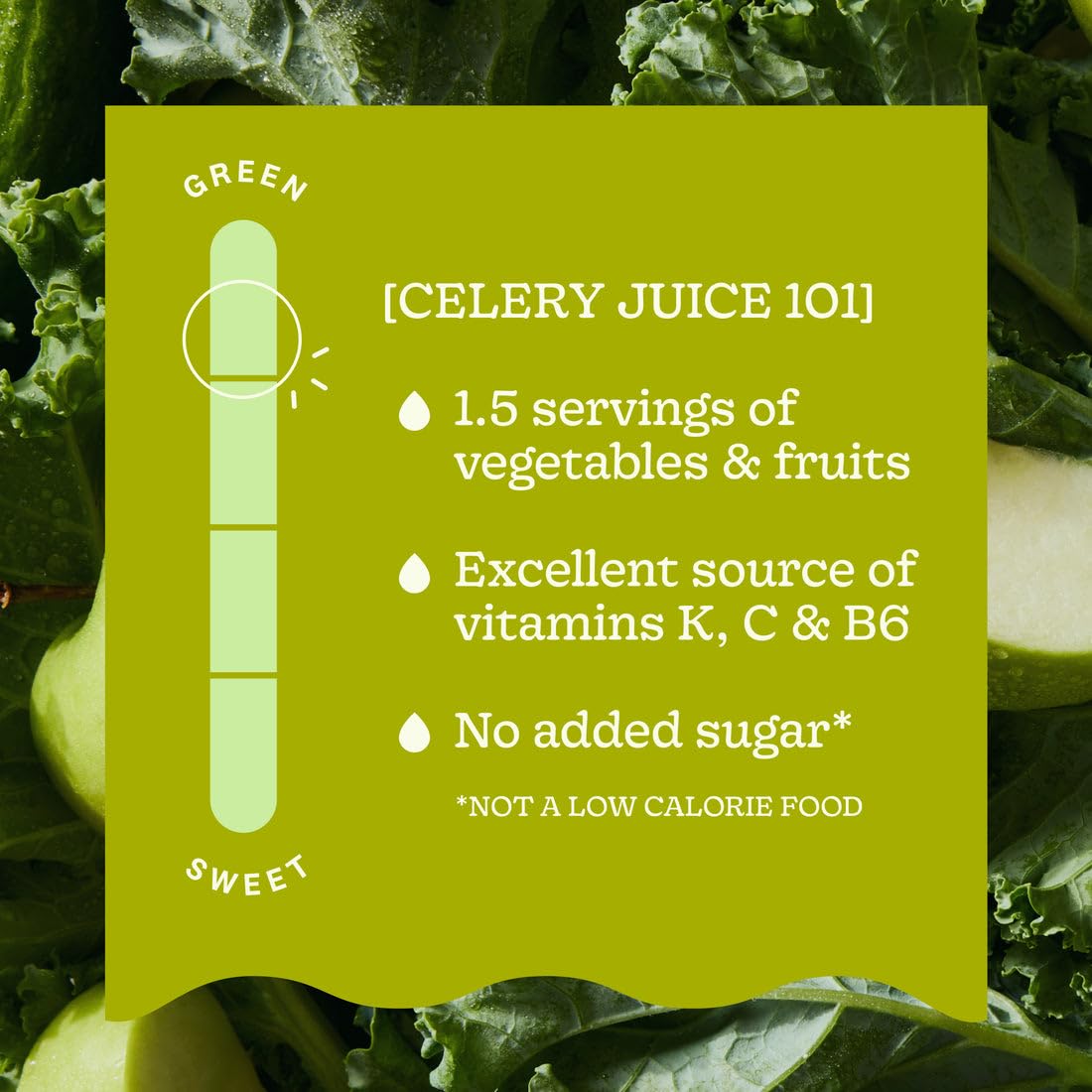 Cold Pressed Celery Juice by Suja – 12 Fl Oz (Pack of 6), Pack of 6