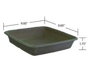 Pulp 48 oz Square Container by Sabert – 48 oz., 48.0 ounces, Plastic, Natural, Pack of 300