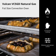 VULCAN Single Deck | Natural Gas / Silver / 7.4 cubic_feet Commercial Ovens