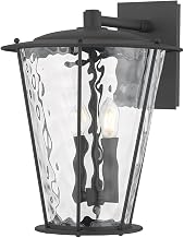 Troy Lighting Jantzen Outdoor Wall Sconce | Textured Black Finish | Water Glass Lantern Design | Traditional Caged Frame | Wet Rated Exterior Light | 12.5" W x 16.5" H | B7117-TBK