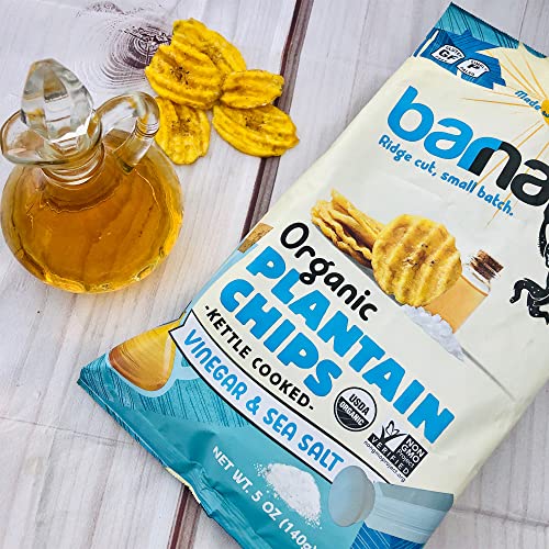 Barnana Sea Salt & Vinegar / 5 Ounce (Pack of 3) / Chips Dried Banana Chips