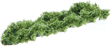 Artificial Kale Runner Garnishing Green - 12" L x 3" W