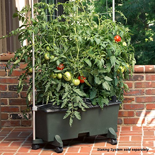 ® Container Gardening System - Green by EarthBox – 29"L x 13.5"W x 11"H, 3 gallons, Plastic, Green, Model 80201