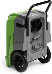 ALORAIR Red / Storm Pro / Storm-Pro-Red-NO-WIFI Dehumidifiers