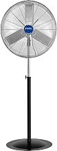 Global Industrial Heavy Duty Deluxe Oscillating Pedestal Fan, 30" Diameter