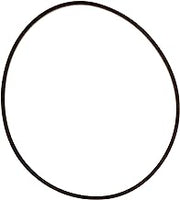 Ariens Genuine OEM Snow Blower Traction Drive V- Belt 07200603 Compact SNO-Tek