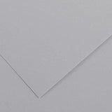 Canson Colorline #141 Drawing Paper, Light Grey, 19.5" x 25.5", Acid-Free, 92 lb. (150gsm), 10 Sheets/Pack