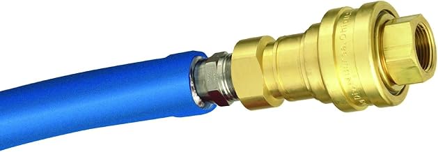 T&S Brass HW-4D-48 Water Hose with Quick Disconnect, 3/4-Inch Diameter and 48-Inch Long