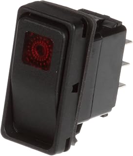 CONVOTHERM 300358-CLE SWITCHDPDTW/250V LIGHT (300358-CLE)