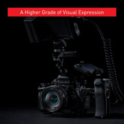 Panasonic w/ 20-60mm & 50mm / Black / Full-Size Mirrorless Cameras