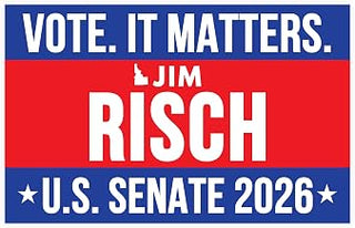 Jim Risch For Senate 2026 Poster Election Matters Vote Race November Three Colored