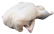 Maple Leaf All Natural Medium Whole Duck by Maple Leaf Farms – 5.75 pounds