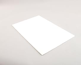 Frymaster 816-0174- Genuine OEM Replacement Part