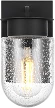 Elegant Lighting Rafael 5" Outdoor Wall Sconce in Black