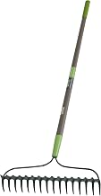 AMES 28252100 16-Tine Steel Double Play Bow Rake with Fiberglass Handle, 64-Inch