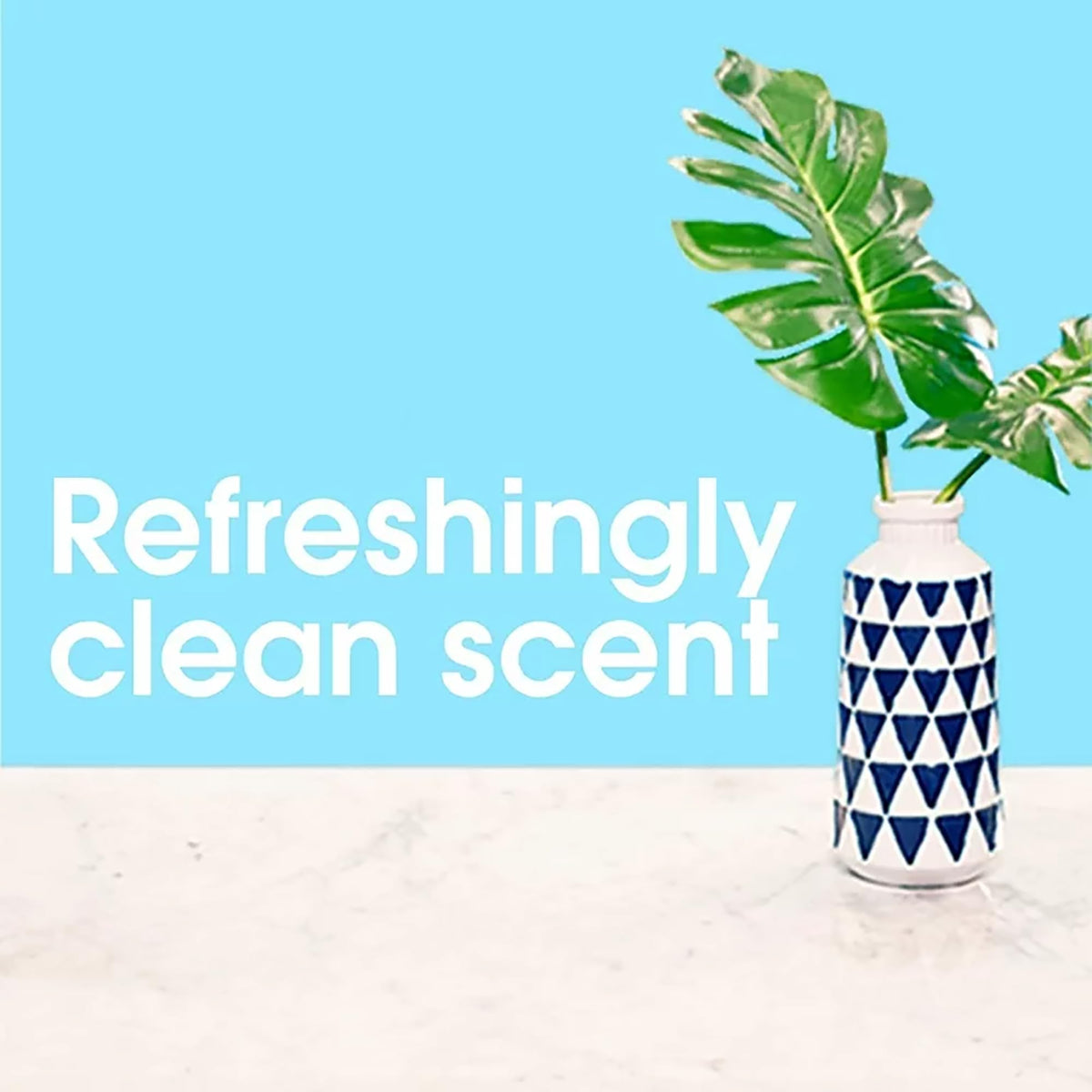 Spray 250ml Pack ( by Pledge – 8.45 Fl Oz (Pack of 2), Multi-Surface Classic, Pack of 2, Model CLPG06