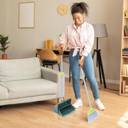 Broom and Dustpan Set for Home - Both Indoor by Pine-Sol – Green & Gray, Model PNS-76373