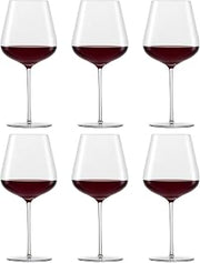 Schott Zwiesel 121413 Vervino All- Round Glass