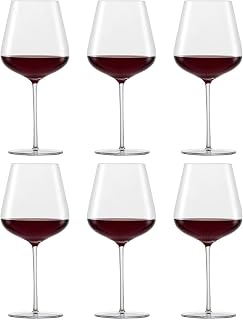 Schott Zwiesel 121413 Vervino All- Round Glass