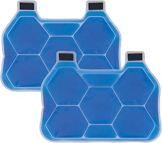 Cooling Ice Packs, Includes 2 Charge Packs, Compatible with Ergodyne Chill Its Cooling Vests, L/XL