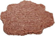 Cloud 3:1 Beef Patty, 5.33 Ounce -- 45 per case.