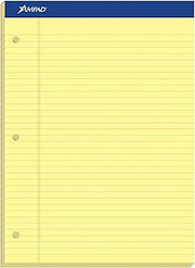 Ampad Evidence Dual Ruled Pad, Legal Ruling, Size 8.5 x 11.75 Inches, Canary Paper, 100 Sheets Per Pad (20-243)