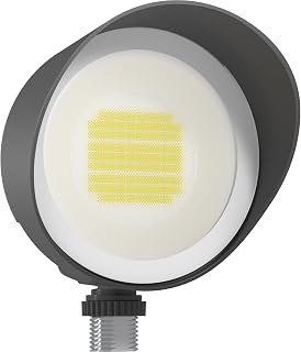 RAB Lighting BULLET FLOOD 12W COOL LED