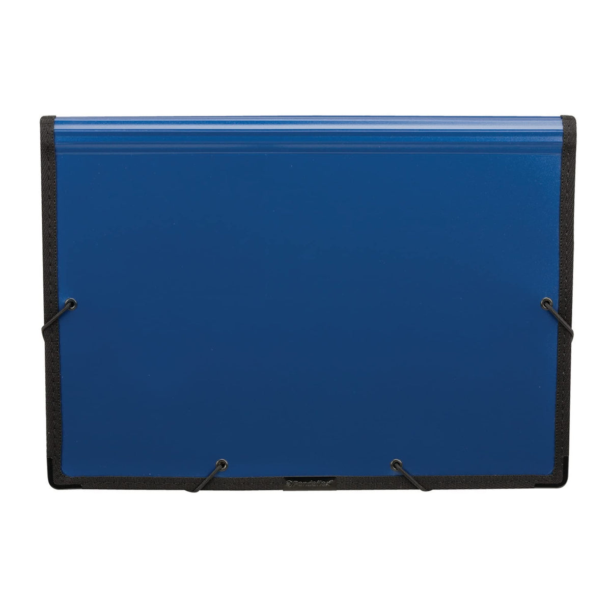 ® Professional Poly Expanding File by Pendaflex – True, Plastic, Metallic Blue, Model 52674
