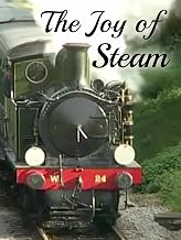 The Joy of Steam