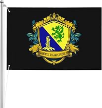 US Chemical Corps Regimental Insignia Double Sided 3 Ply 2x3 FT Flag Thick Polyester Indoor Outdoor10