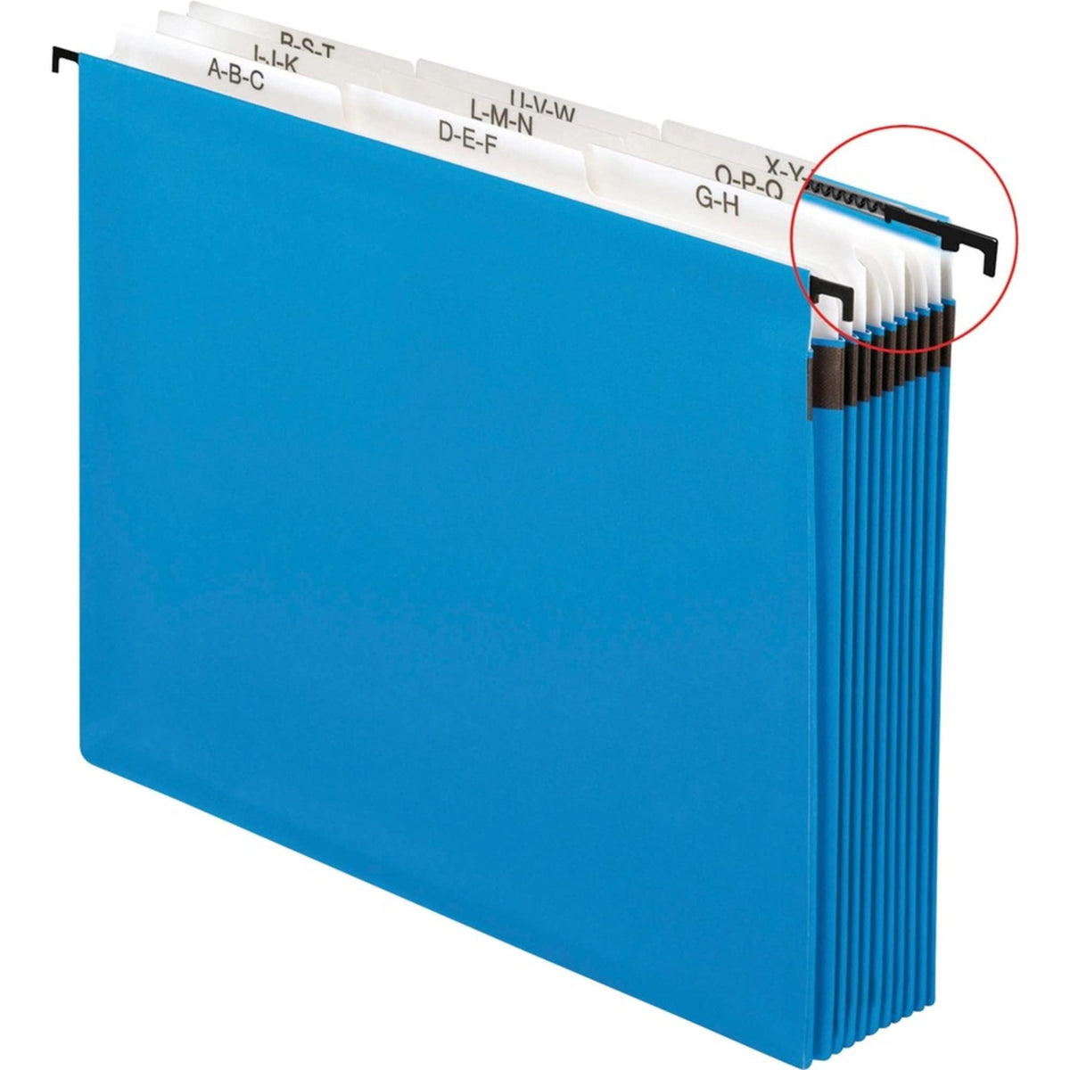 Nine-Section Hanging Folder by Pendaflex – Letter, Paper, Blue, Model 59225