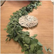 Garland Silver Dollar Eucalyptus | Garlands for Decoration Christmas | Outdoor Indoor Christmas Decorations (25 ft.)