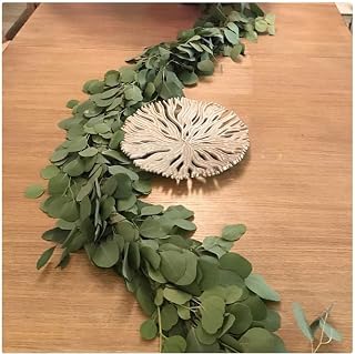Garland Silver Dollar Eucalyptus | Garlands for Decoration Christmas | Outdoor Indoor Christmas Decorations (25 ft.)