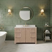 Belmont 48 in. Single Sink Pre-Assembled Transitional Style Bathroom Vanity