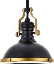 Eamon 1-Light Modern Metal Pendant in Matte Black
