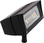 RAB Lighting FFLED18DC Low-Voltage Flood 18W Cool LED Lamp, 12V 24V DC, Bronze