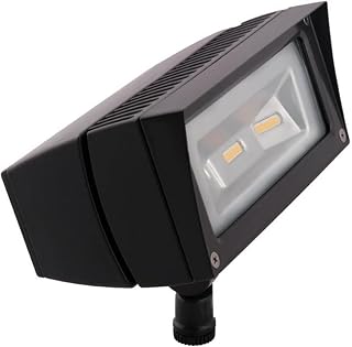 RAB Lighting FFLED18DC Low-Voltage Flood 18W Cool LED Lamp, 12V 24V DC, Bronze