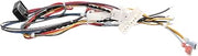 Pitco Wiring,Bzl Cpi W/Dc Tb-SRT B6796201 - Genuine OEM Replacement Part