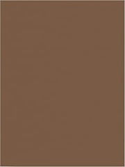 Prang (Formerly SunWorks) Construction Paper, Brown, 9" x 12", 100 Sheets