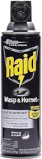 Raid 668006EA Wasp & Hornet Killer, 14oz Aerosol