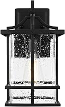 Miller One Light Outdoor Wall Sconce Black