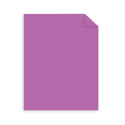Astrobrights 320 Count (Pack of 1) / Cardstock / Bright Purple Colored Paper