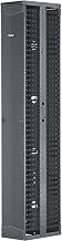 Panduit Rack Cable Management Panel (Vertical) - Black - 42U